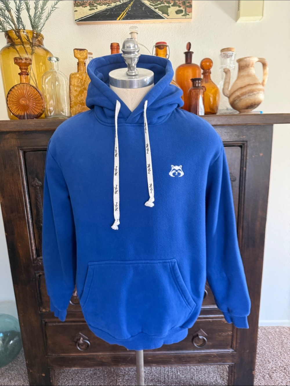Trash Pandas Hoodie